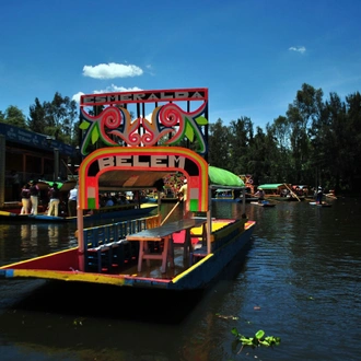 tourhub | Tours of Distinction | Mexico's Monarch Butterfly Migration 