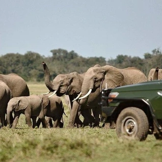 tourhub | Gracepatt Ecotours Kenya | Aberdares National Park Luxury Lodge Safari 2days 1 Night Tour 