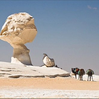 tourhub | Black Camel Tours | From Cairo: 6 Days Package to El Fayoum Oasis, White Desert and Bahariya Oasis 