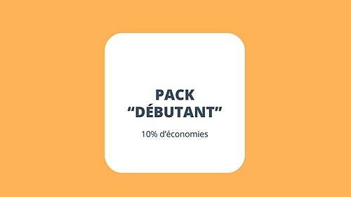 Représentation de la formation : 1 - PACK "Débutant"