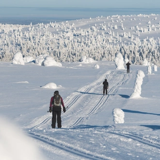 tourhub | Exodus Adventure Travels | Cross-Country Skiing in Lapland 