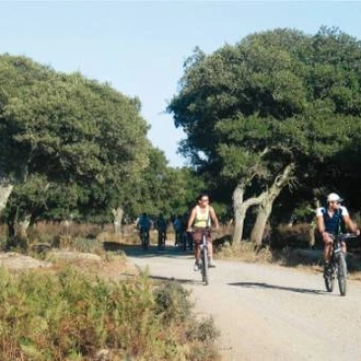 tourhub | UTracks | Sardinia Family Cycle Adventure 