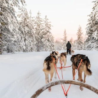 tourhub | Intrepid Travel | Finnish Lapland Winter Family Holiday 