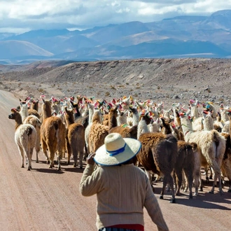 tourhub | Explore! | Best of Argentina, Bolivia and Chile 