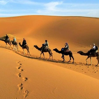 tourhub | Across Africa Tours Travel | 5 Days Sahara Express from Marrakech 