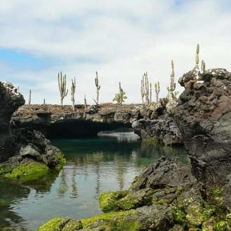 tourhub | Latin Adventures | 5-Day Galapagos Island Hopping - Santa Cruz & Isabela 