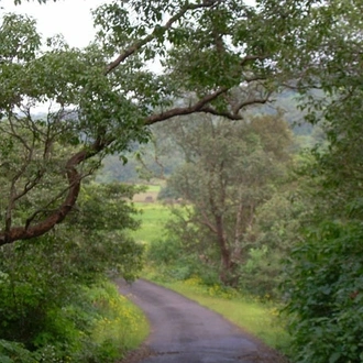 tourhub | Agora Voyages | Spiritual Serenity: Pune to Bhimashankar Pilgrimage 