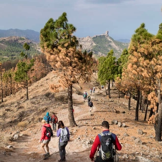 tourhub | Explore! | Canary Islands Walking - Gran Canaria 