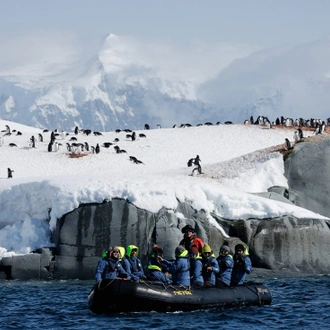 tourhub | Intrepid Travel | Journey to the Antarctic Circle (Ocean Endeavour) 