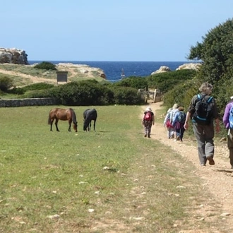 tourhub | Travel Editions | Flowers and Wildlife of the Balearics - Mallorca and Menorca tour 