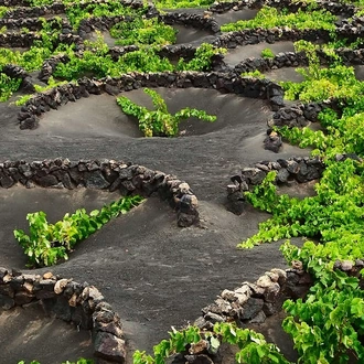 tourhub | Explore! | Canary Islands Walking - Lanzarote 