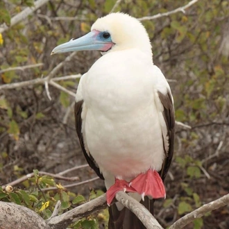 tourhub | Indus Travels | Essential Ecuador And Peru 