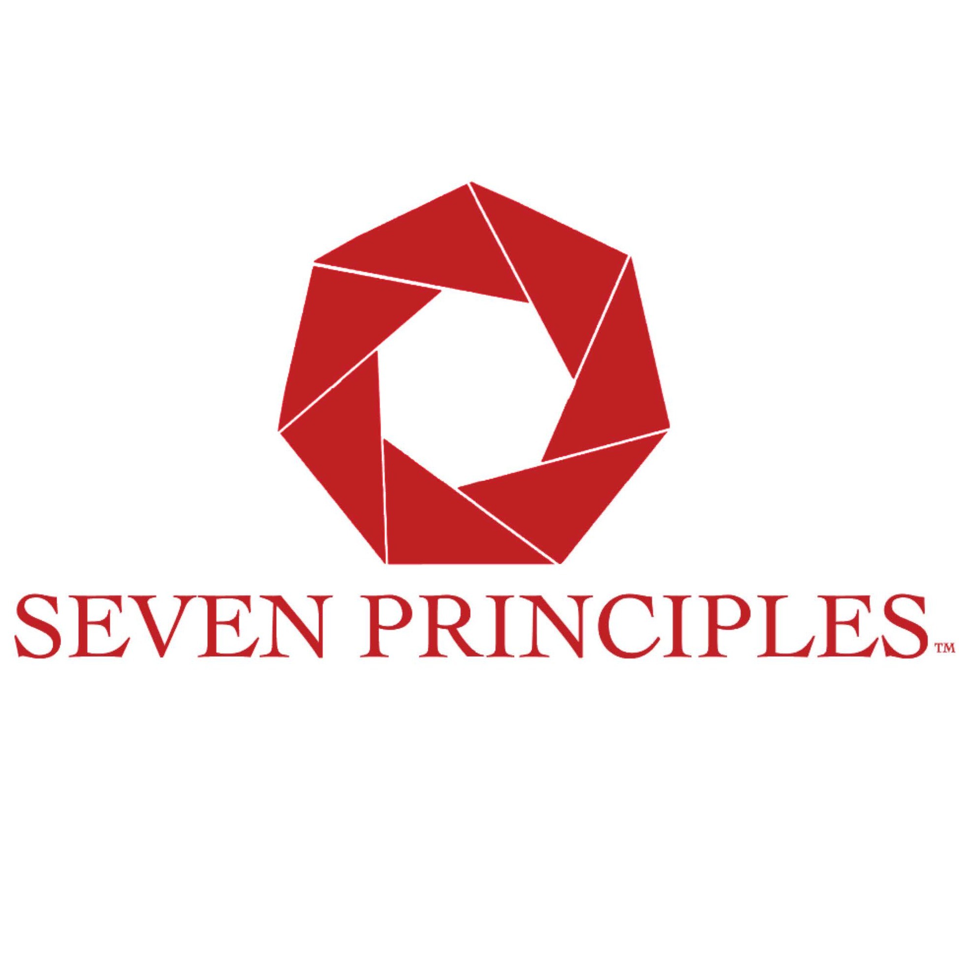 geico 7 operating principles