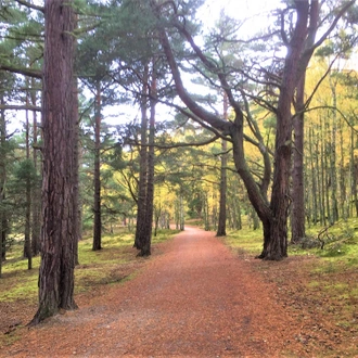 tourhub | Exodus Adventure Travels | Walking the Speyside Way 