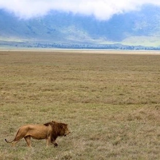 tourhub | Exodus Safaris | 4-Day Tanzania Luxury Safaris (Manyara, Serengeti & Ngorongoro ) 