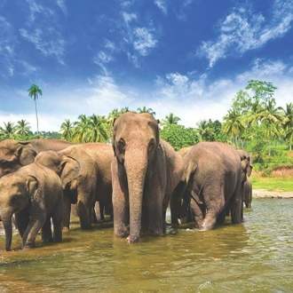 tourhub | Travel Department | Discover Sri Lanka 