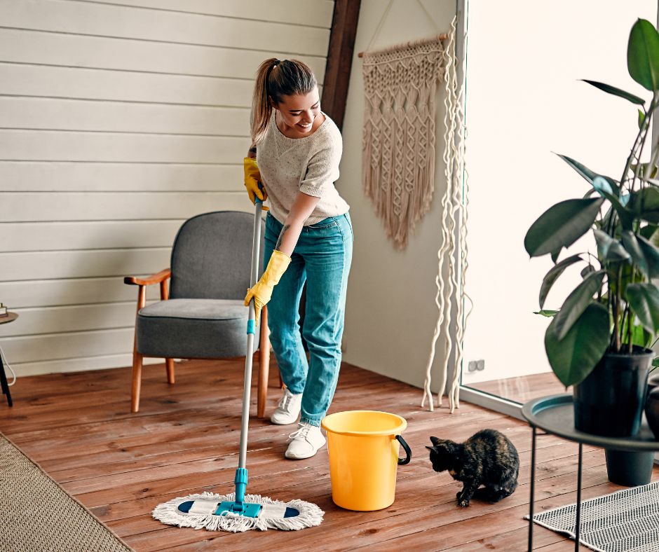 Room-by-Room Cleaning Tips