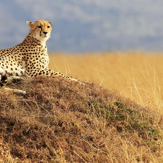 tourhub | Explore! | Highlights of Kenya & Tsavo Extension 