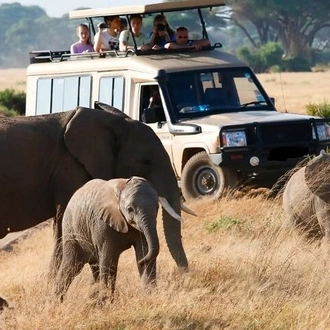 tourhub | Gracepatt Ecotours Kenya | Ngutuni Concervancy 2 Days Safari from Mombasa Beach 