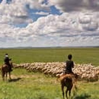 tourhub | Wild Frontiers | Mongolia: Land of the Great Khan 