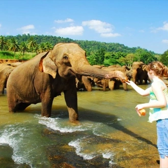 tourhub | Ceylon Travel Dream | Wildlife & Adventure Tour in Sri Lanka From 11 days 