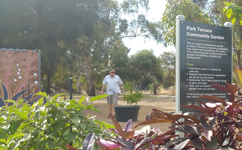 Park Terrace Community Garden in Mary Lee Park (Park 27B)