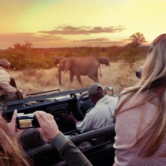 tourhub | G Adventures | Explore Kruger National Park 