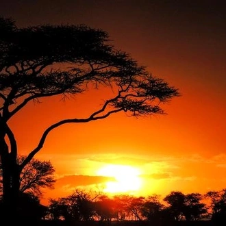 tourhub | G Adventures | Nairobi to Zanzibar: Serengeti & Sunsets 