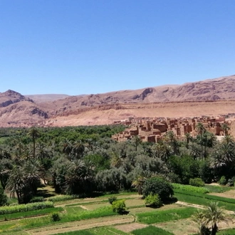 tourhub | Escorted Morocco Tours | 3 Days Morocco Sahara Desert Tour from Marrakech 