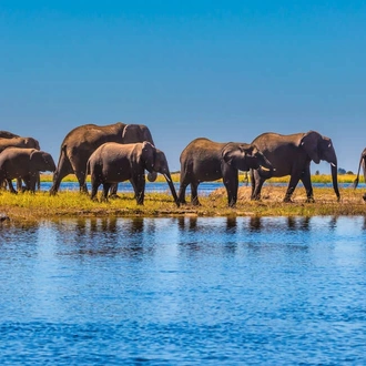 tourhub | Explore! | Upgraded - Botswana Wildlife Safari 