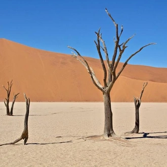 tourhub | Chameleon Safaris Namibia | 3 Day Sossusvlei Express Accommodated Safari 