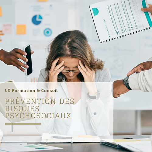 Représentation de la formation : Prévention des Risques Psychosociaux 