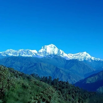 tourhub | Shepherd Holidays | Poon Hill Trek - Short & Easy Trek in the Himalayas  