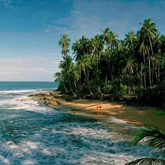 tourhub | Destiny Travel Costa Rica | Caribbean Costa Rica: 5-Day Tour with Tortuguero National Park and Puerto Viejo 