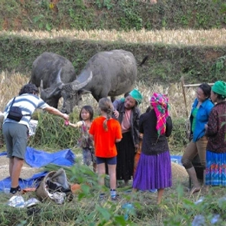 tourhub | Mr Linh's Adventures | Hang Tham Phay expedition tour & Jungle trekking 4 days 3 nights 