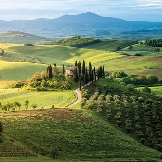 tourhub | Insight Vacations | Country Roads of Italy - Classic Group 