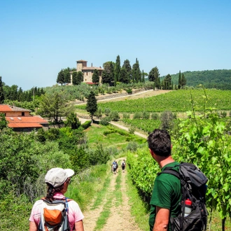 tourhub | Exodus Adventure Travels | Tuscany Walks & Chianti Wines 