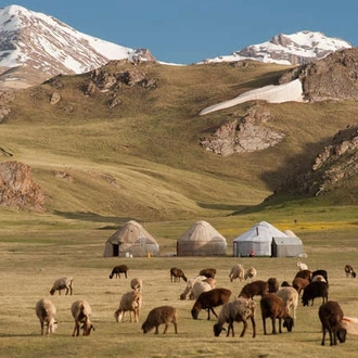 Silk Road: Central Asian Odyssey (via Son Kul)