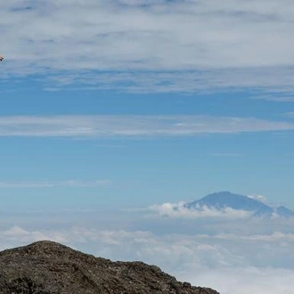 tourhub | G Adventures | Kilimanjaro - Marangu Route & Serengeti Adventure 