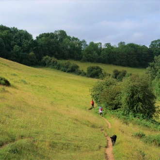 tourhub | Exodus Adventure Travels | Best of the Cotswolds Self-Guided Walk 