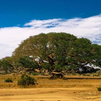 tourhub | Encounters Travel | Eritrea Encounters 