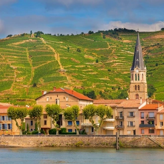 tourhub | Avalon Waterways | Burgundy & Provence (Northbound) (Poetry II) 