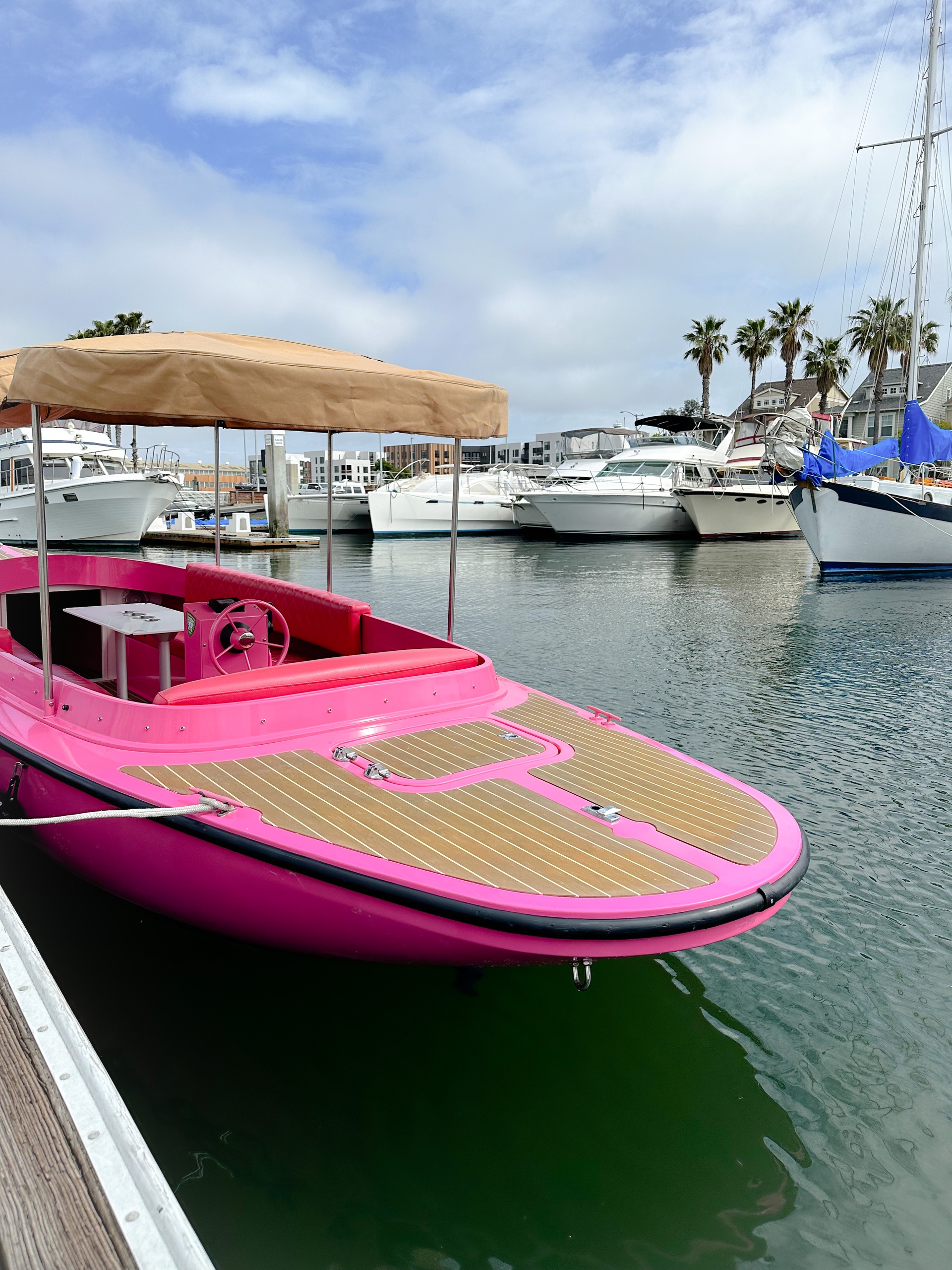 Alameda Pink Fantail Electric Boat Rental (Up to 8 Passengers) image 7