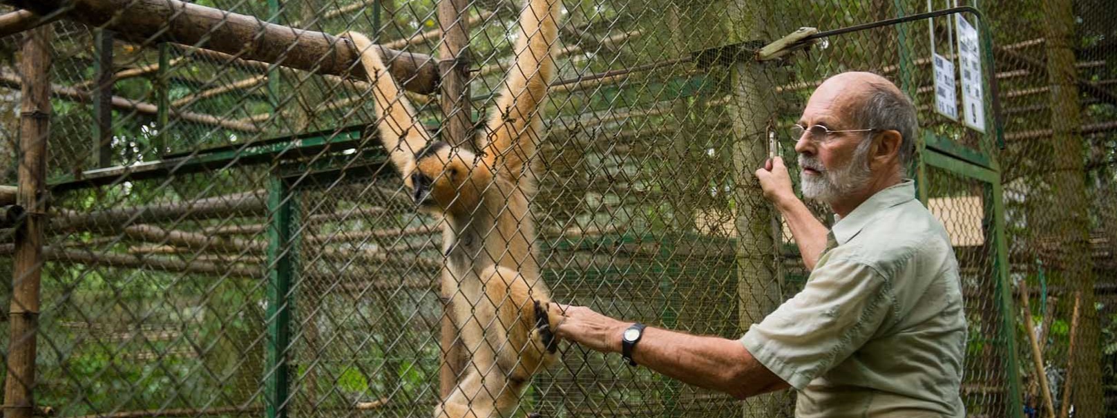 Northern White-Cheeked Gibbon Reintroduction Project | Three Monkeys ...