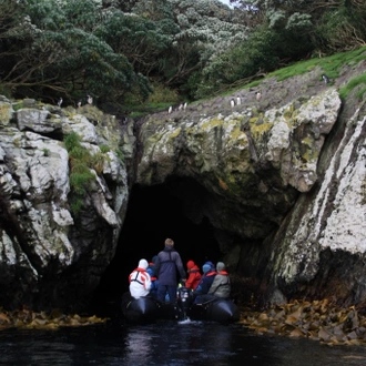 tourhub | Heritage Expeditions | Beyond Fiordland 