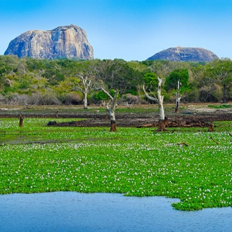 tourhub | Intrepid Travel | Cycle Sri Lanka 