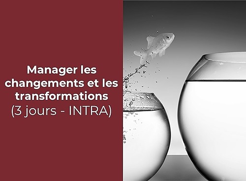 Représentation de la formation : Manager les changements et les transformations (3 jours - INTRA)