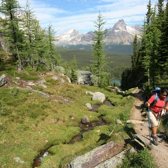 tourhub | Exodus Adventure Travels | Canadian Rockies: Heli-Hike & Wilderness 