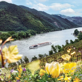 tourhub | Uniworld Boutique River Cruises | Cruise & Rail: Grand Alpine & the Enchanting Danube 