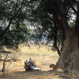 tourhub | Exodus Adventure Travels | Wildlife & Wilderness of Botswana 